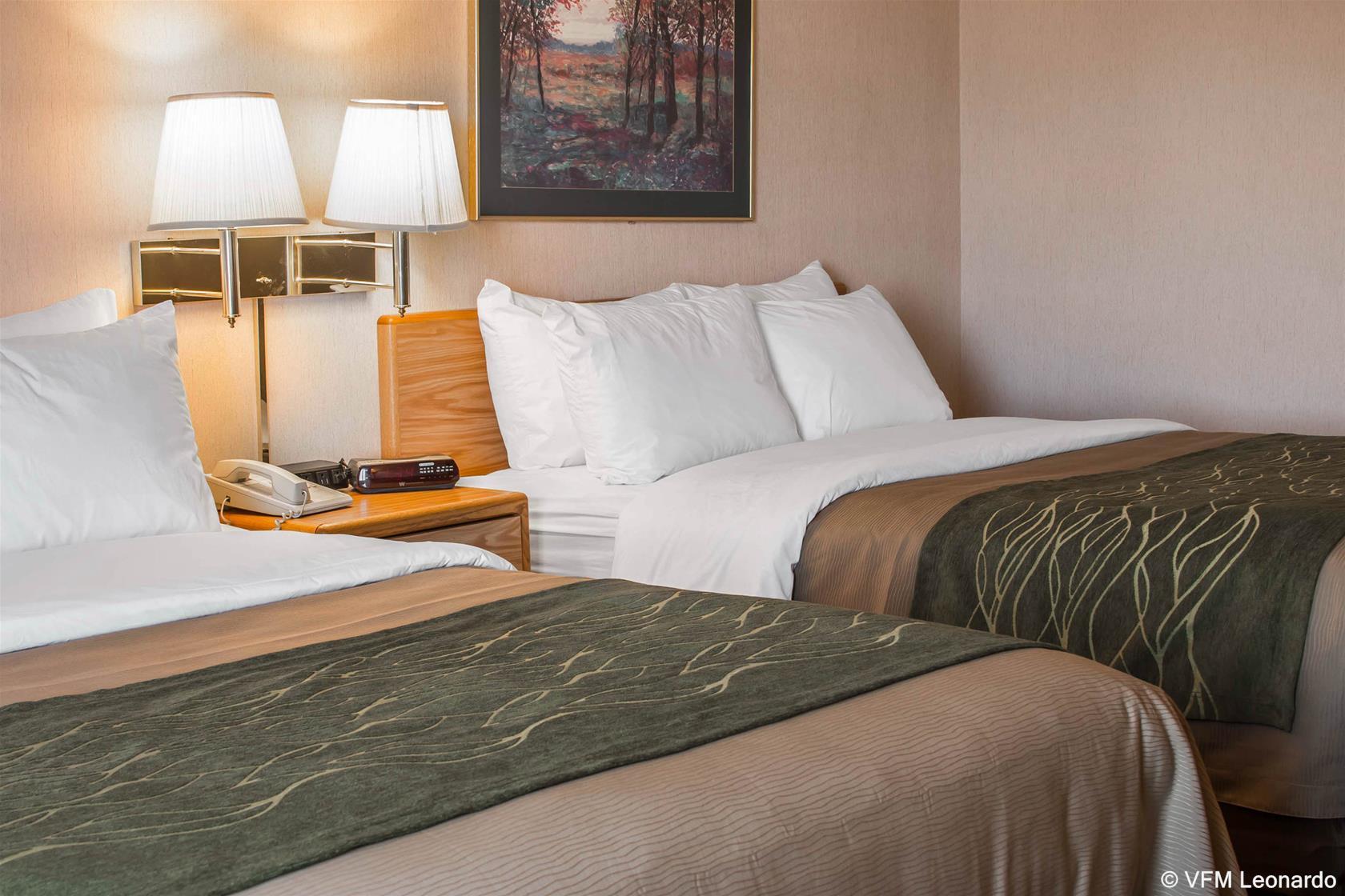 Comfort Inn Charlotte Luaran gambar