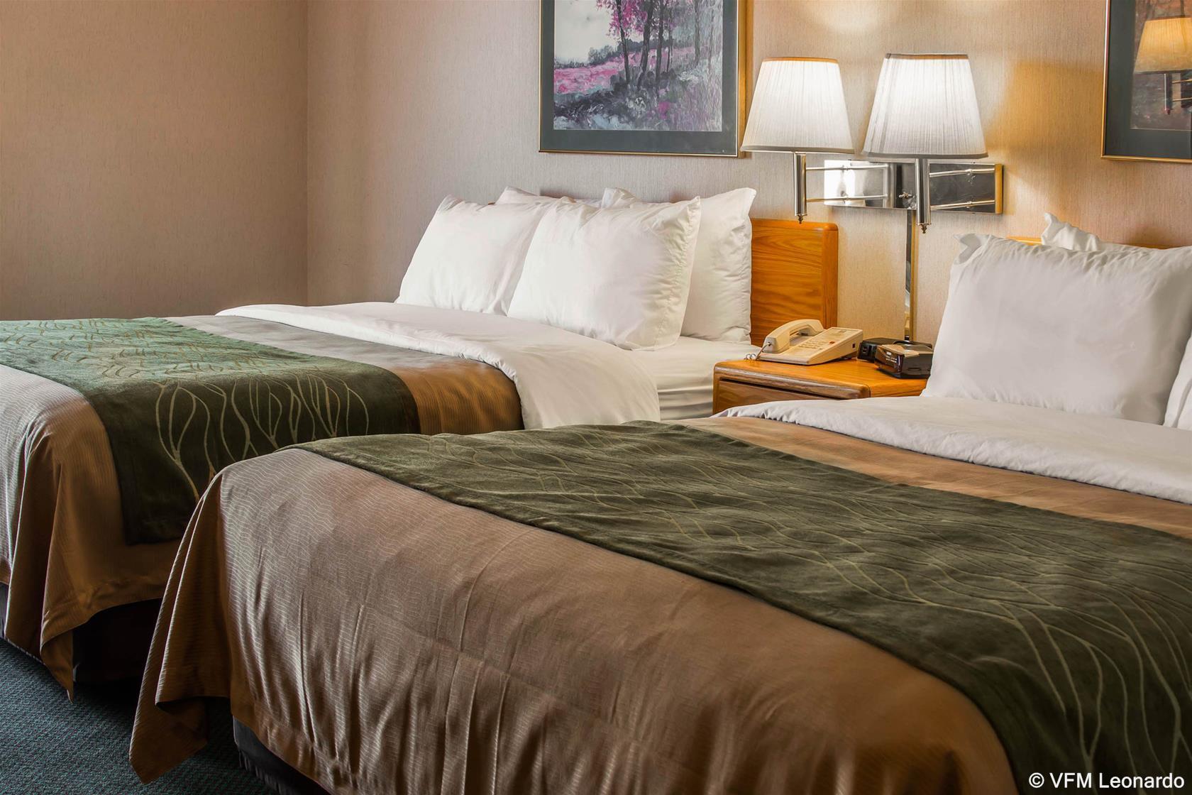 Comfort Inn Charlotte Luaran gambar