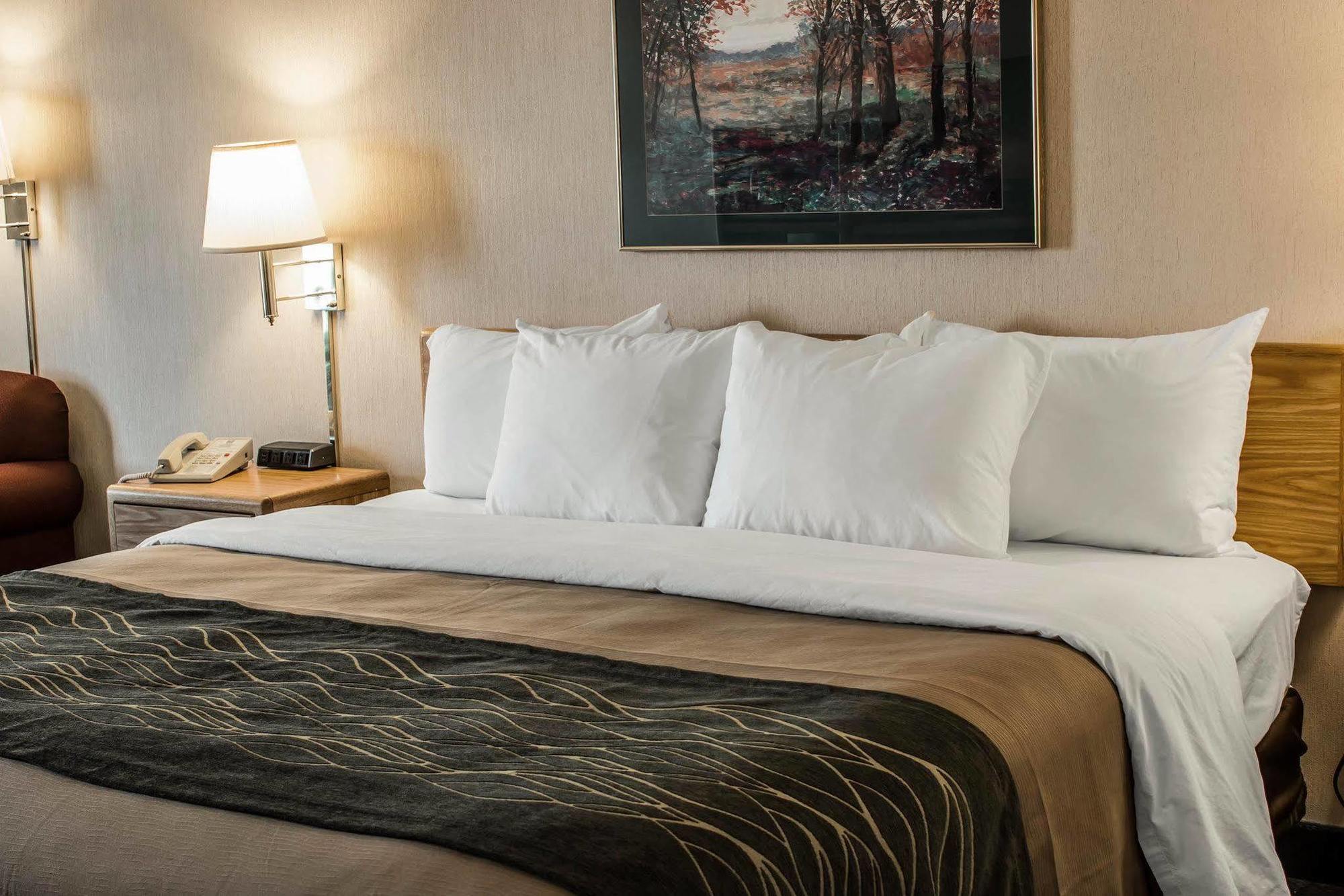 Comfort Inn Charlotte Luaran gambar